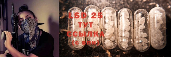 спиды Сосновый Бор