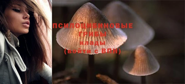 герыч Богданович