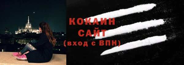 твердый Богородск
