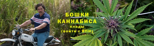 твердый Богородск