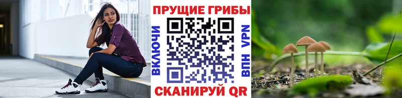 Галлюциногенные грибы прущие грибы  Дмитриев 